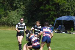 DSC_2703