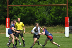 DSC_2799