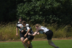 DSC_3412