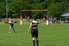 DSC_3481