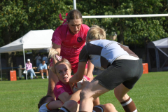 DSC_7453