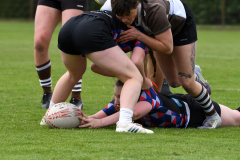 DSC_7518