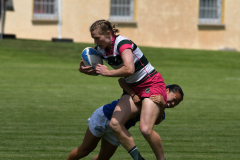 DSC_1920